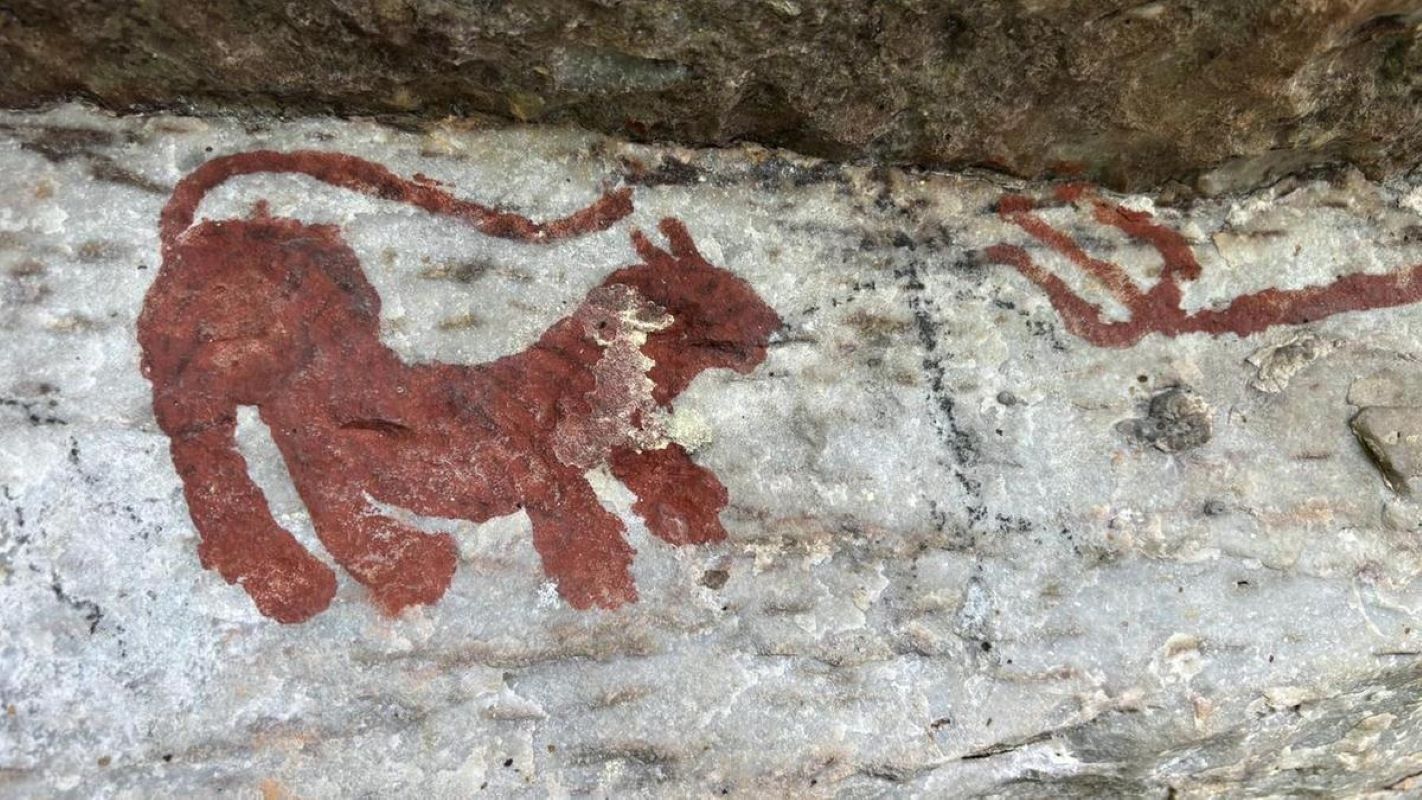 ASI documented and copied 25 ancient inscriptions in the Nallamala Tiger Reserve